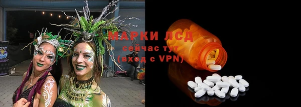 бошки Гусь-Хрустальный