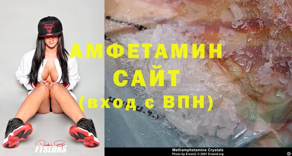 ГАЛЛЮЦИНОГЕННЫЕ ГРИБЫ Горняк