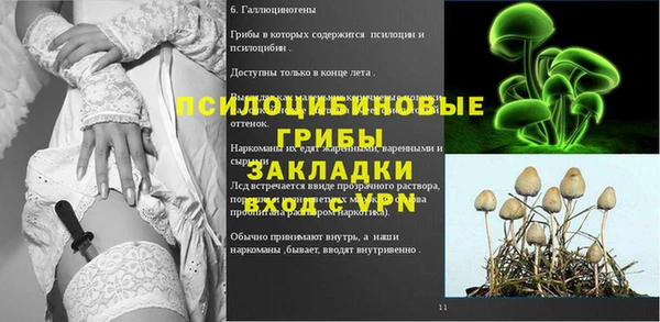 сатива Горно-Алтайск