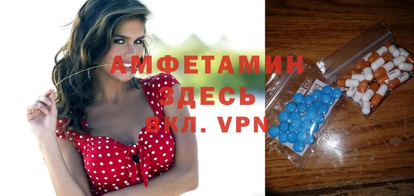 ГАЛЛЮЦИНОГЕННЫЕ ГРИБЫ Горняк